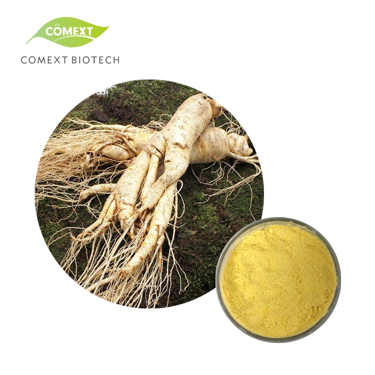 Comext Fssc22000 Factory Price HPLC 10% 80% Ginsenoides American Ginseng استخراج الجذر