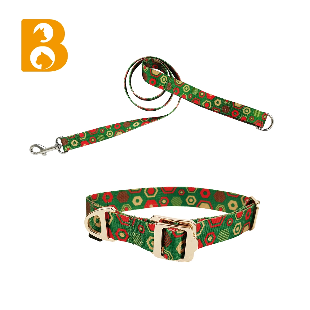 OEM Fabrik Customized bunte Druck Walking passende Hundehalsband mit Pet-Leine