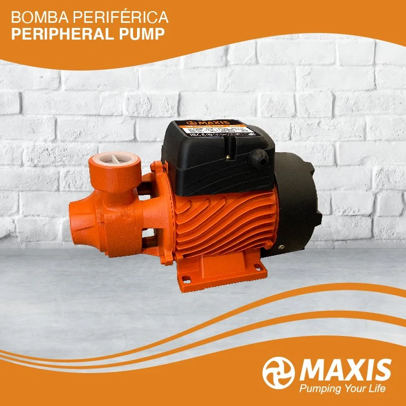 New Design Electric Domestic Small Surface Centrifugal Pump Qb60 Qb70 Qb80 Qb90 0.5HP 1HP