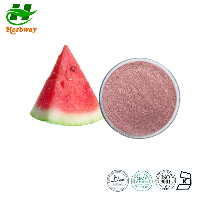 Herbway Free Sample Factory Direct Sale Watermelon Fruit Extract Watermelon Juice Powder