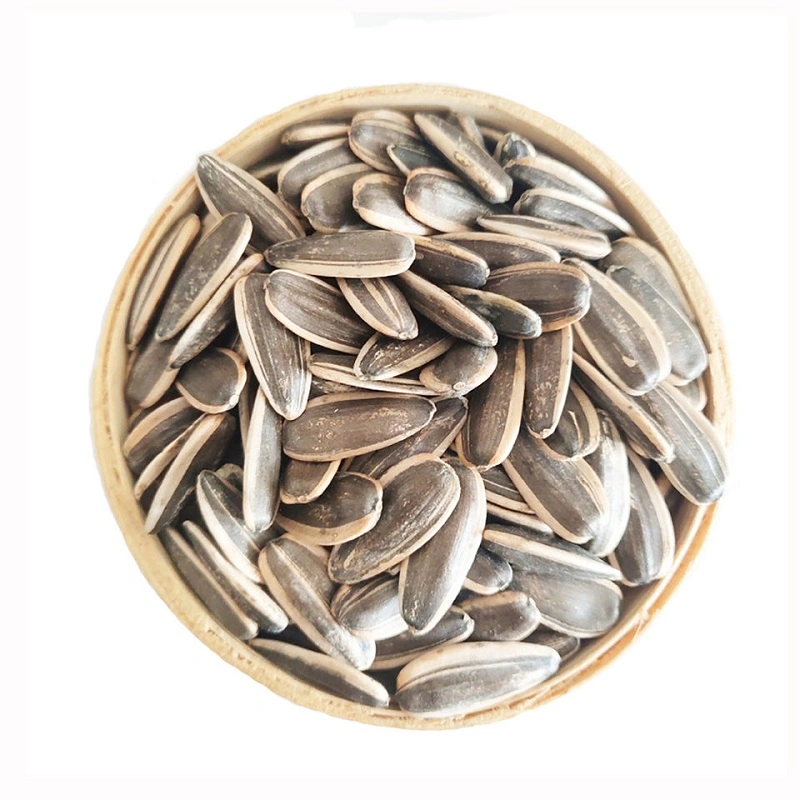 Chinese New Crop Natural Black Sunflower Seeds Available at Low Cost Price