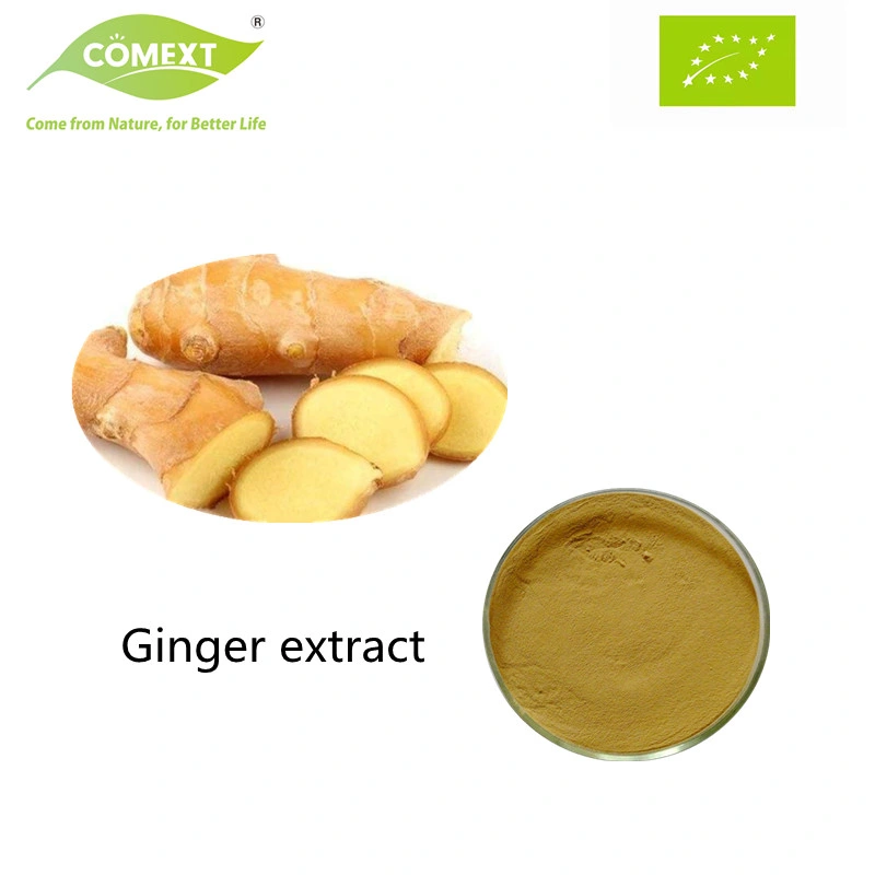 Comext Factory High quality/High cost performance  100% Natural Health Product Ginger Extract Ginger Root Extract