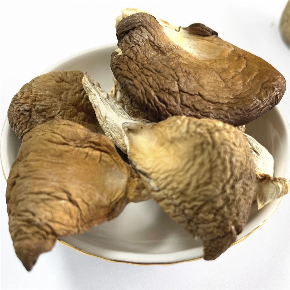 Fungos albalone Oyster Mushroom secos comestíveis