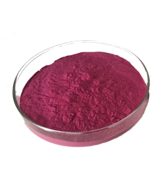 China Quality Freeze Dried Red Dragon Fruit Powder Pitaya Powder Fruit Powder Instant Drinks