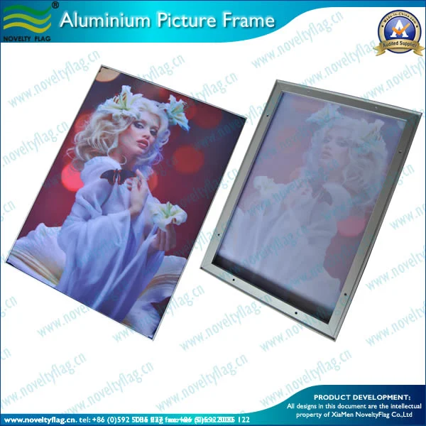 Aluminum Advertisement Frame/Picture Frame/Photo Frame/Metal Frame (B-NF22M01101)