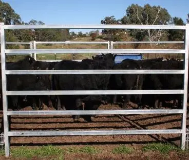 Cattle Fence Farm Used 1.8X2.1m Hot Dipped Galvanized Iron Metal Cattle Horse Corral Panel Farm Fence