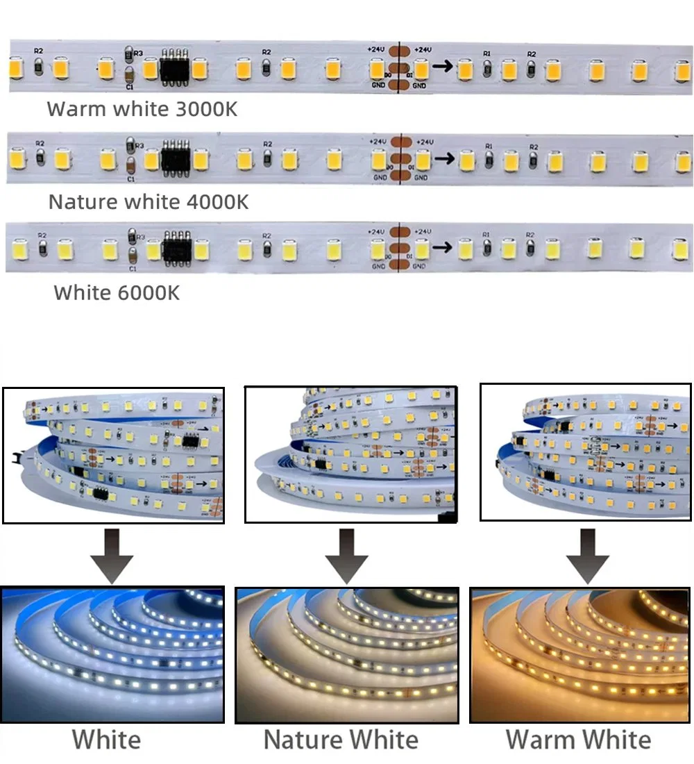 40m 30m 20m 10m Running Water Flowing LED Strip Light DC24 Ws2811 SMD2835 Horse Race Pixel Addressable Flexible Linear Lamp Set