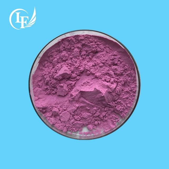 Factory Supply High quality/High cost performance Fruit Powder Bilberry Powder