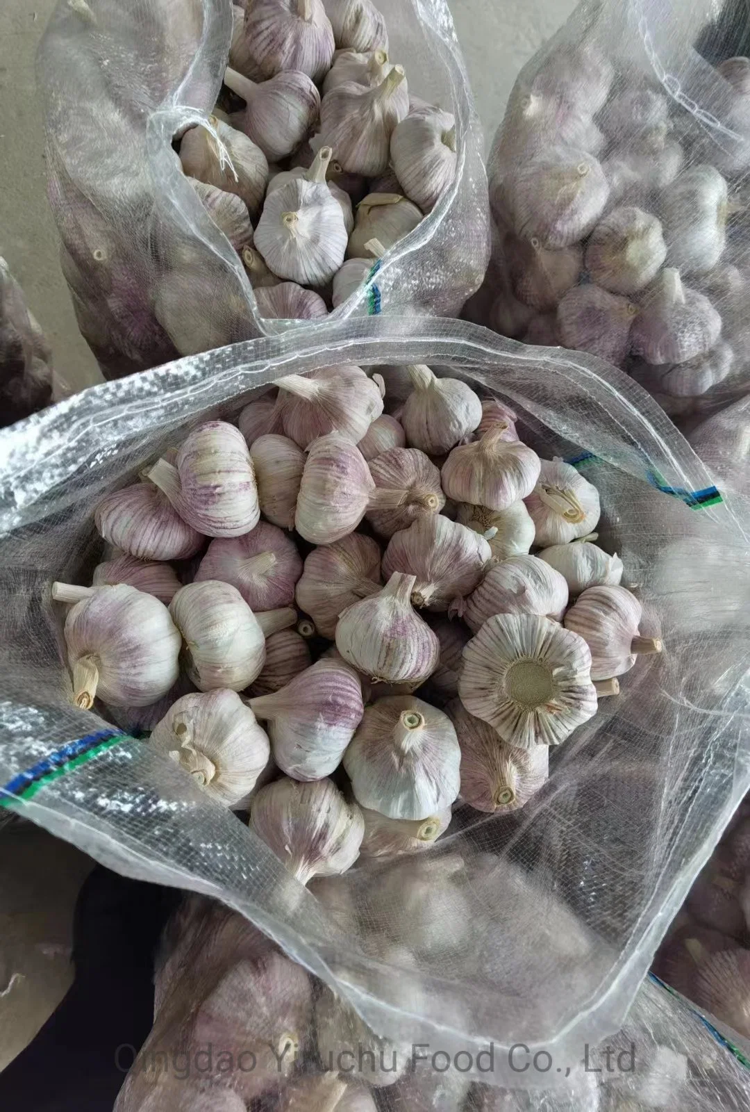 Hot Sale Good Quality, Normal White Garlic