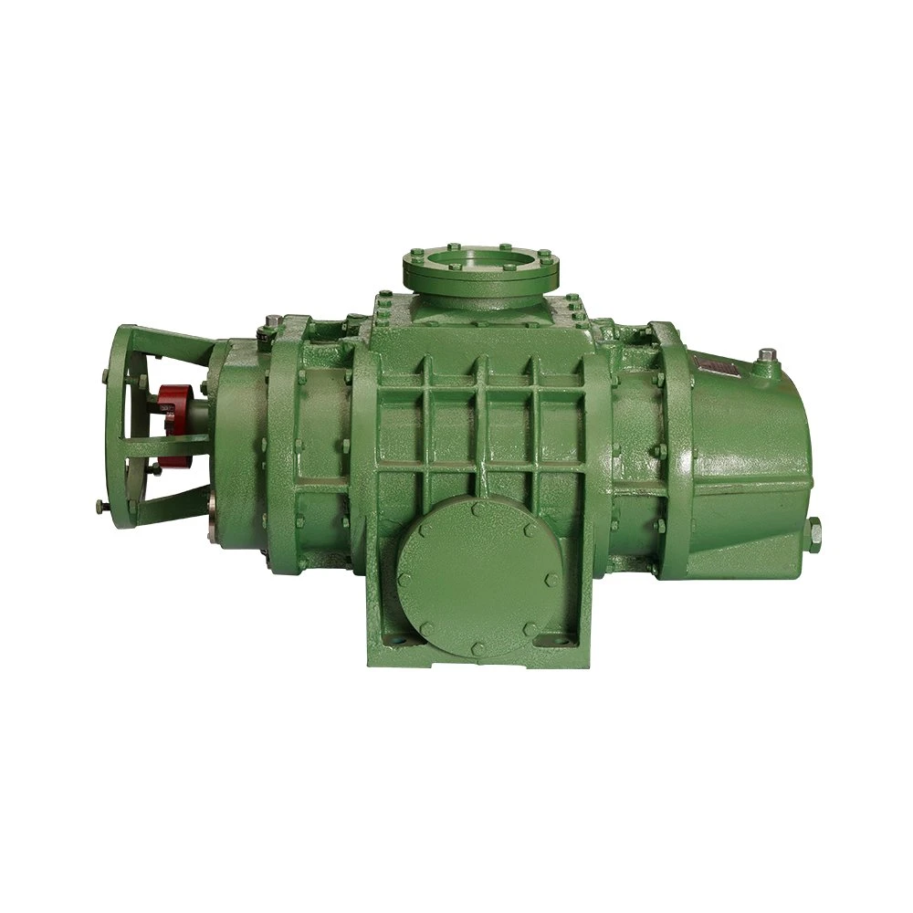 Zj-300j1 High Efficiency Roots Mechanical Vacuum Pump for Vacuum Machine