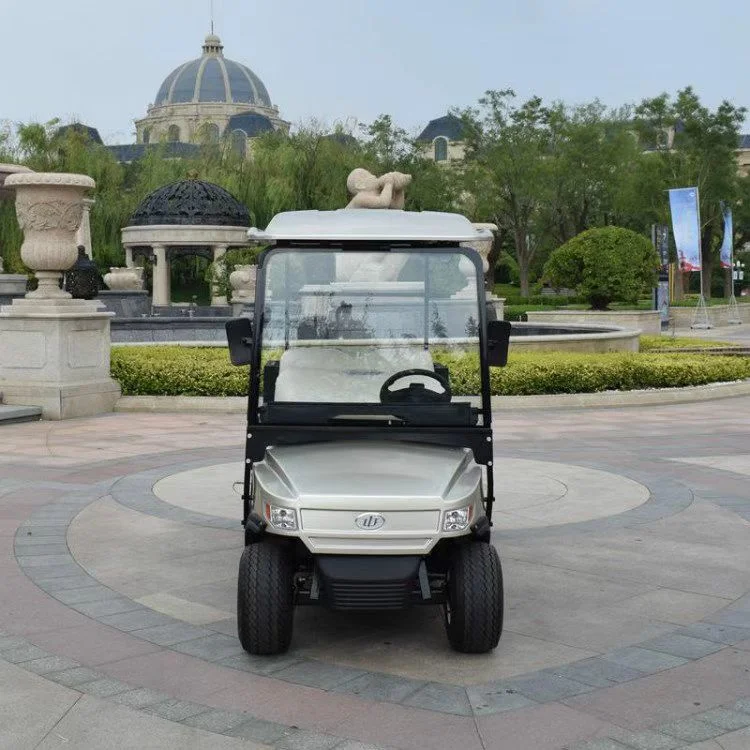 Electric Sightseeing Bus Golf Wholesale/Supplier Battery Powered 2 Seater Golf Car