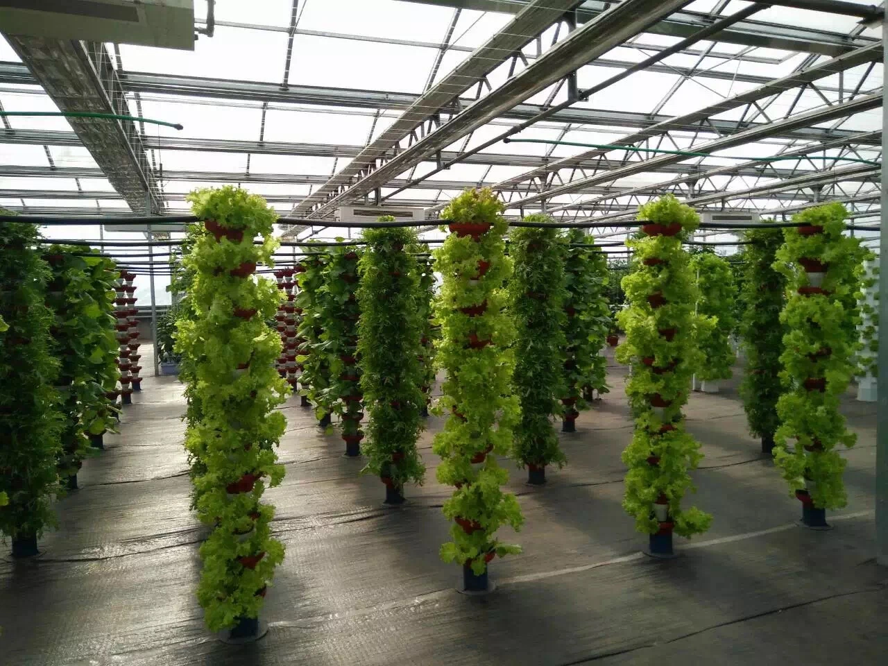 Hydroponics Growing System Vertical Farming Aeroponic Tower Planting System with Grow Light