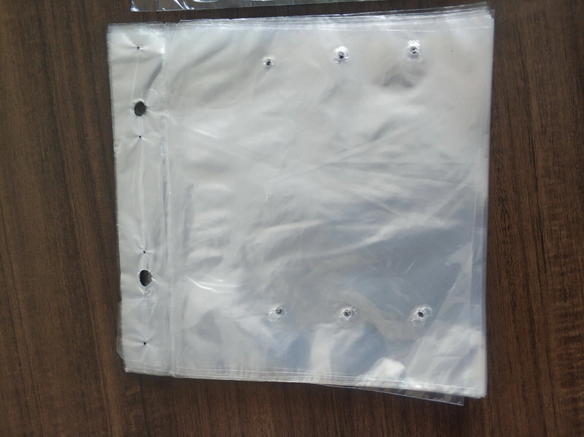 Brc Dust Free Plastic Flat Poly Punch Hole Fruit Packaging Bag