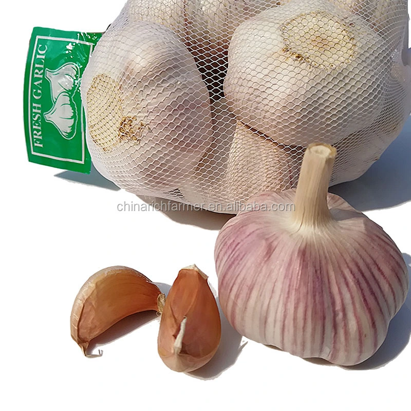 Cheapest China Fresh 3p Pure Normal White Dried Garlic