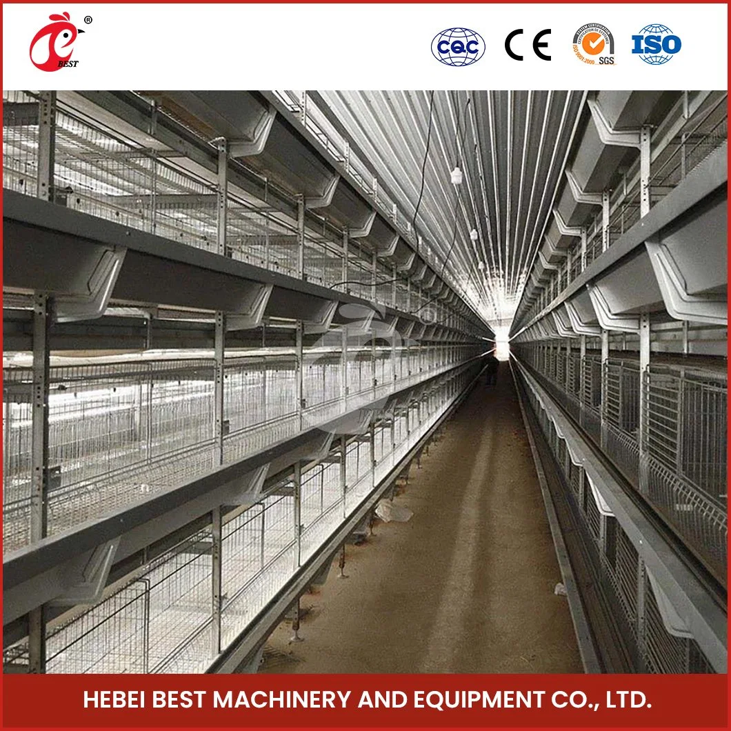 Bestchickencage China Timber Chicken Coop Manufacturing H Frame Automatic Boriler Cages High-Quality Long Service Life High Top Chicken Cage