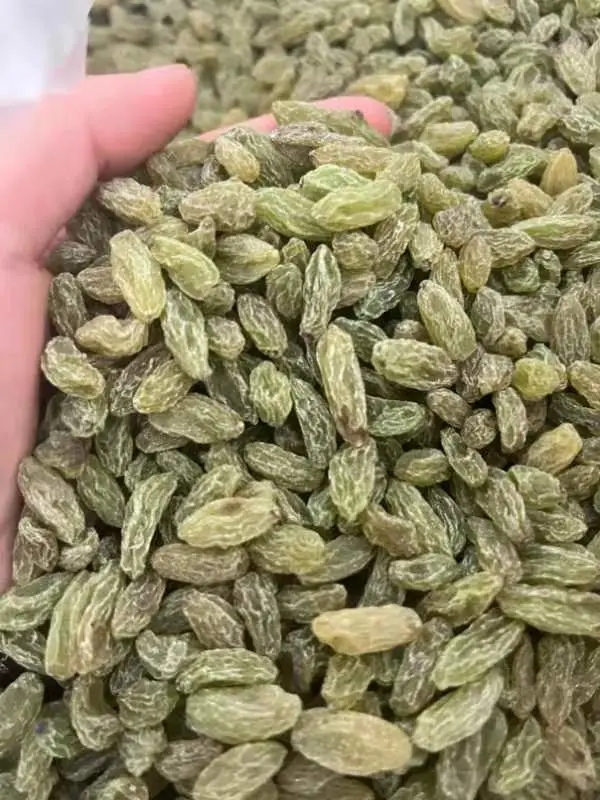 China Supply 90%-95% Green Raisins Dried Grapes Factory Wholesale/Supplier