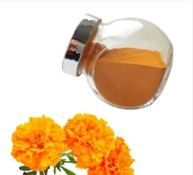 Extrato de flor Marigold Lutein Extract Powder Lutein