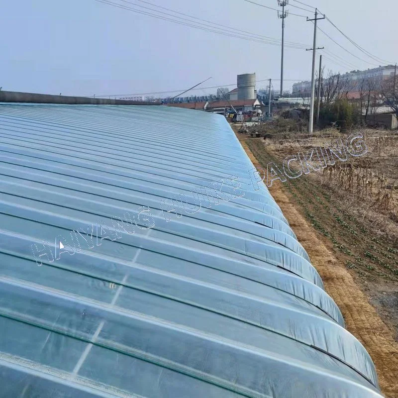 Agricultural Tunnels Film Greenhouse with Hydroponic Systems