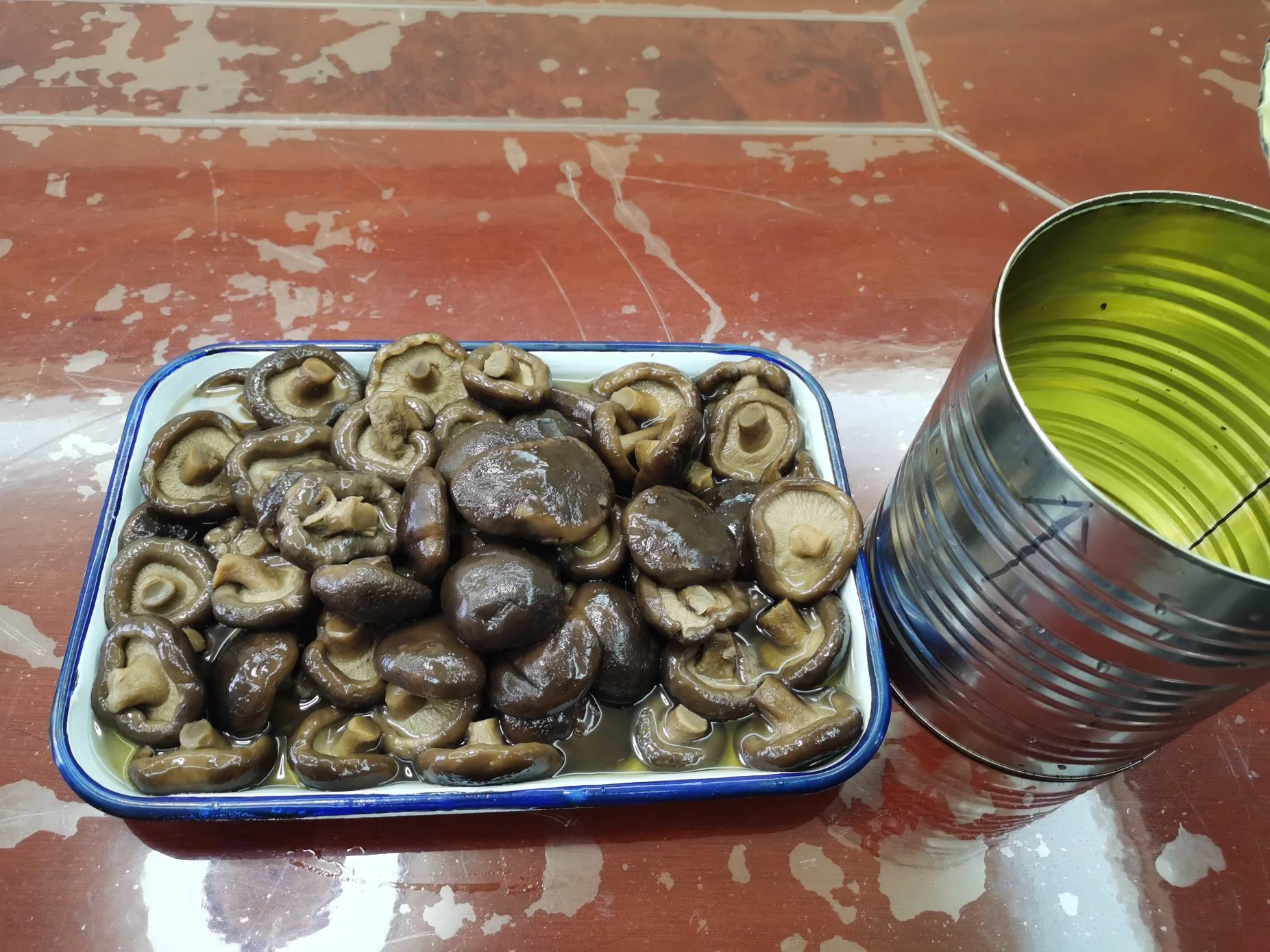 Bulk Edible Magic Mushrooms Canned Shiitake Magic Mushrooms in Water with Best Taste