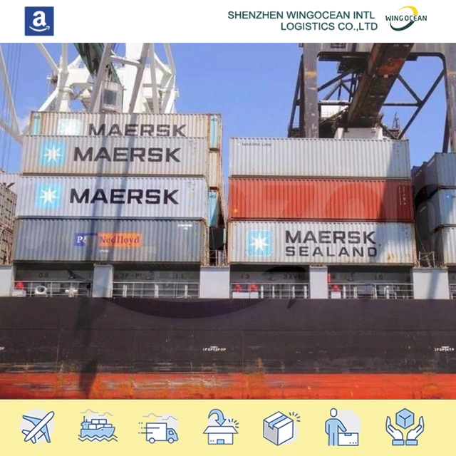 Professionnel excellent International Amazon Sea Freight Provider Service Sea Cargo Expédition au Mexique/Australie