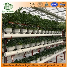 Agricultrue Glass Greenhouse Hydroponics System