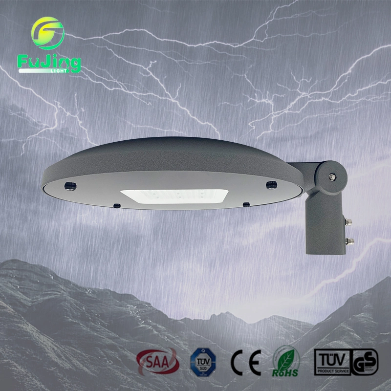 60W 80W 100W Ik10 Outdoor Waterproof LED Courtyard Lamps