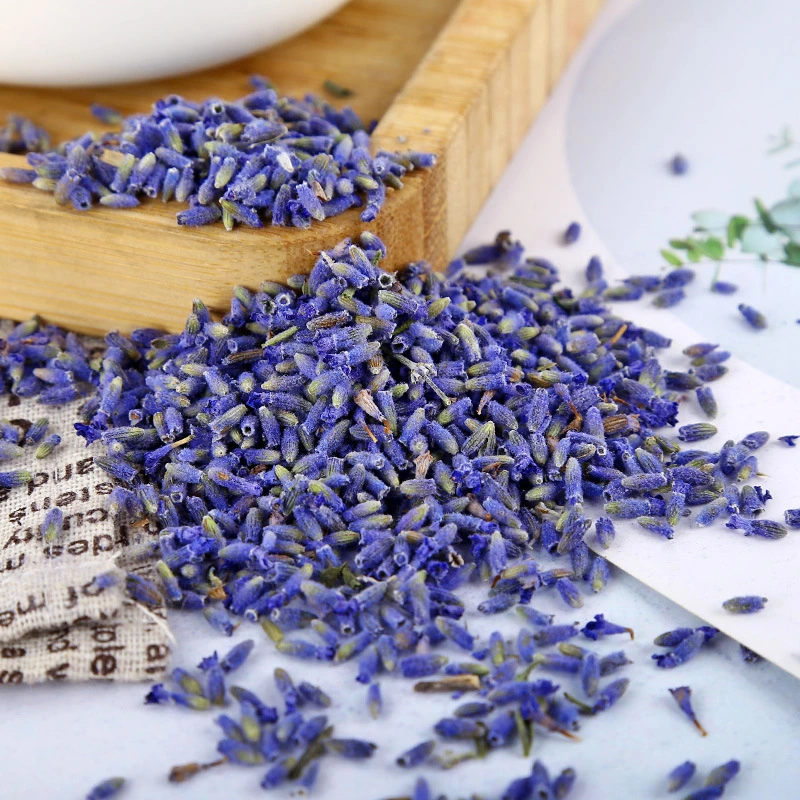 Chinese Herb Medicine Xunyicao Health Tea Skin Care Dried Lavender Flower for Oil Extract