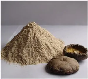 USDA Kosher Certified Organic Shiitake Mushroom Powder for Improve Immunity