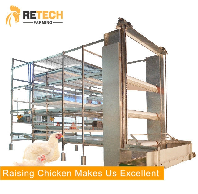 Poultry Breeding Equipment with Steel Structure House