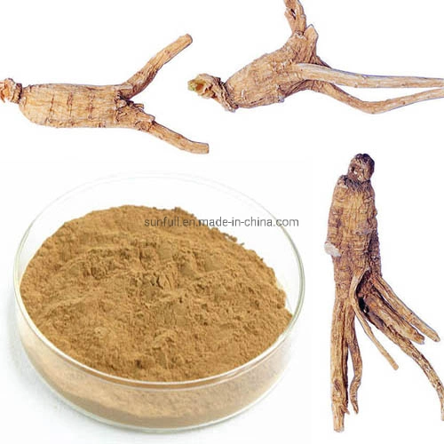 0.1% Ferulic Acid Angelica/Dong Quai Extract