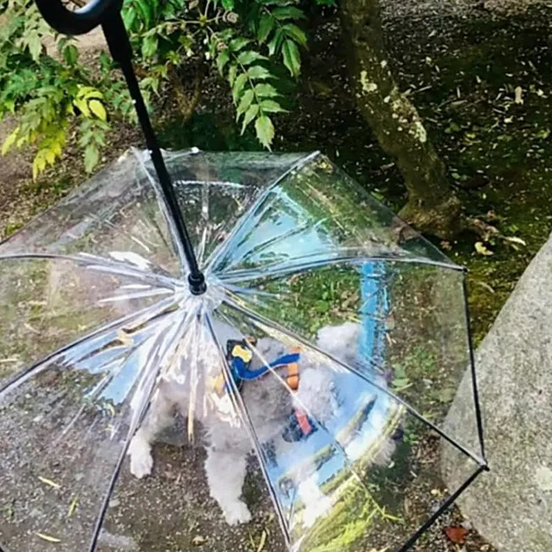 Transparent Waterproof Rain Pet Cat and Pet Dog Umbrella Adjustable Durable Rain Walking Dog Leash