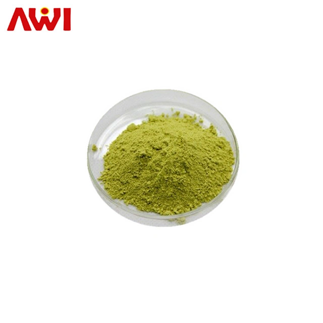 Strong Antioxidant Products Sophora Japonica Extract Rutin