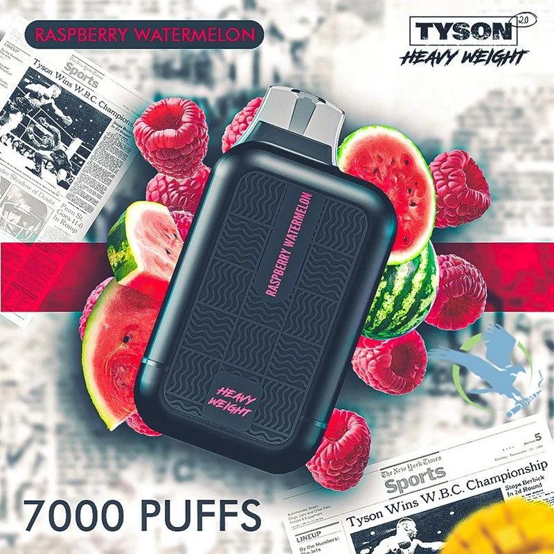 Bon goût Tyson 2.0 poids lourd 7000 Puff Bar Wholesale/Supplier Vape jetable