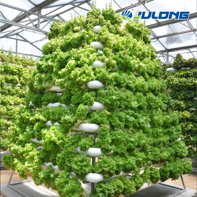 Hydroponics System Greenhouse Grow System with Automatic Control