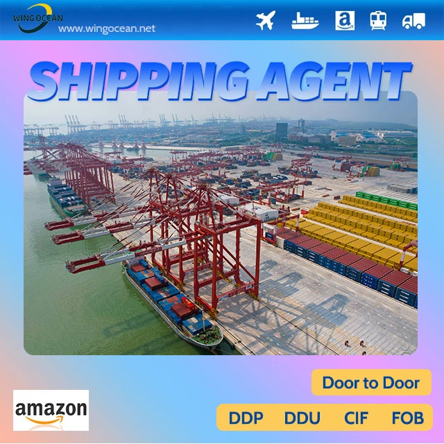 Fast and Cheap Logistics Service Provider in Shenzhen Shipping From China to Australia