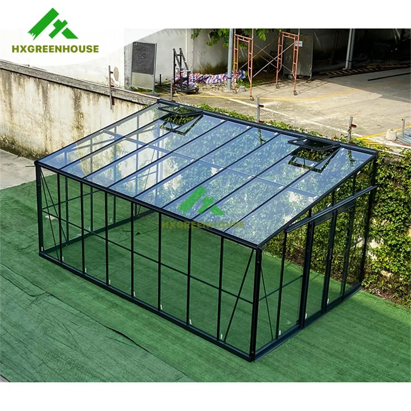 Hot New Product Greenhouses Used in Garden Greenhouse Hx97