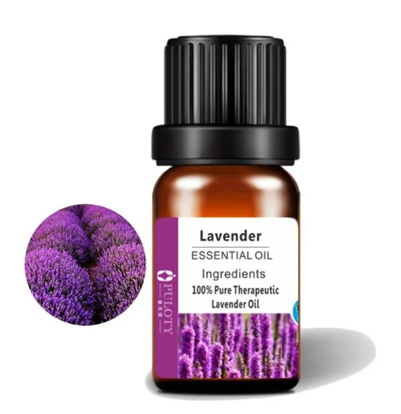 Kosmetische Qualität Organic Lavendel Ätherisches Öl Hautpflege Therapeutische Grade Lavendel Öl Extrahieren