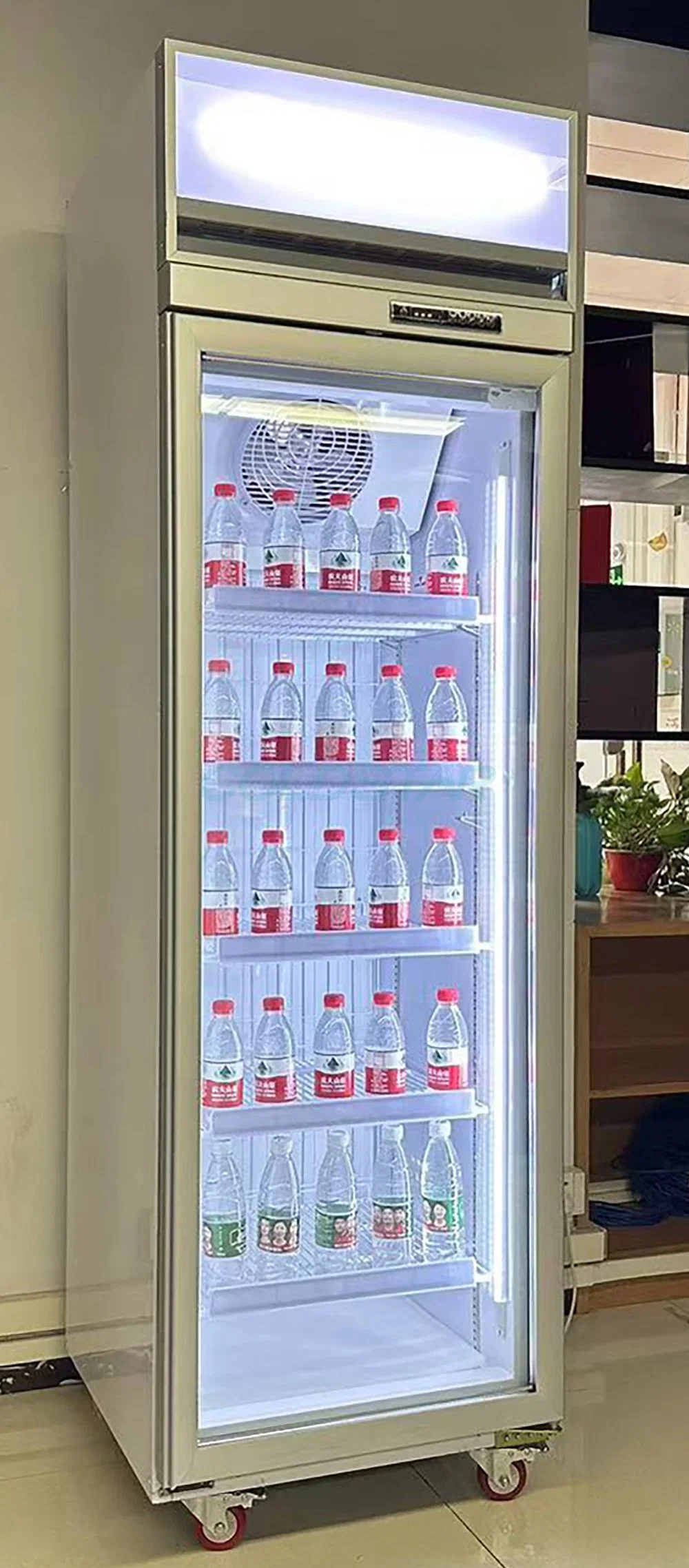 Commercial Single Door 500L Vertical Transparent Glass Refrigerated Showcase Fridge Chiller