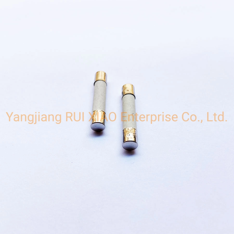 High Voltage Ceramic Fuse Tube 6X30mm 250V 1A2a3a5a8a10A-30A