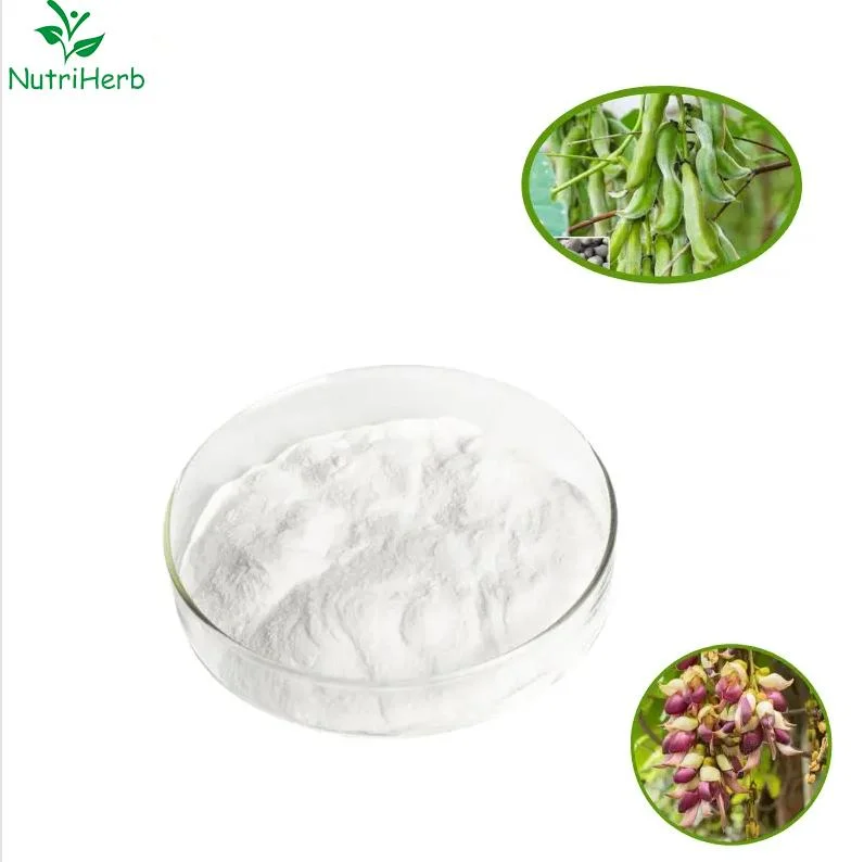 Hot Sale Raw Material Mucuna Pruriens Extract L-Dopa USP BP EP