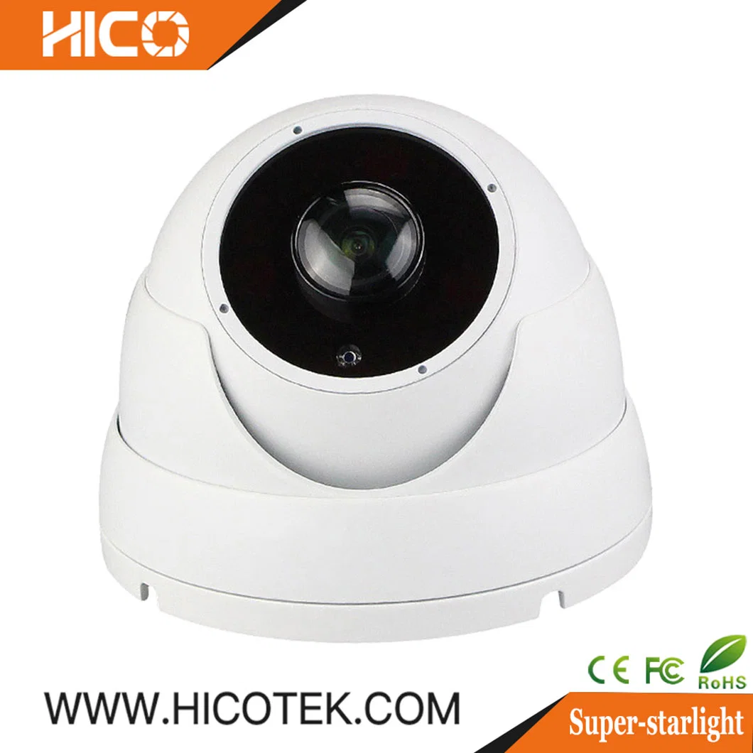 5MP IP66 Metal Vandal-Proof Outdoor Panoramic Overall View Vr Ahd Tvi Cvi 4in1 Eyeball IR Fisheye Dome Camera