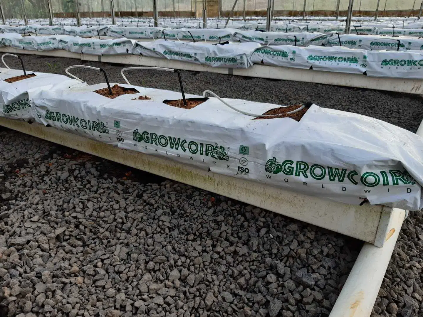 Cocopeat Grow Bag Slabs Best Growing Solution Media Coco Coir Farming for Tomatoes, Bell Pepper, Strawberry in Greenhouses UV Stablized Durable Grow Equipment