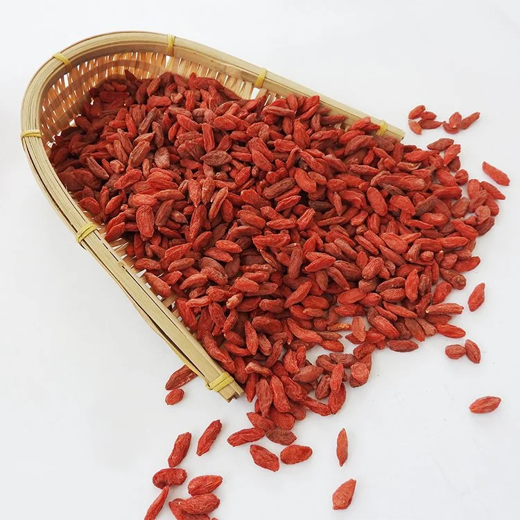 Vente chaude de baies de Goji de haute qualité de Ningxia.