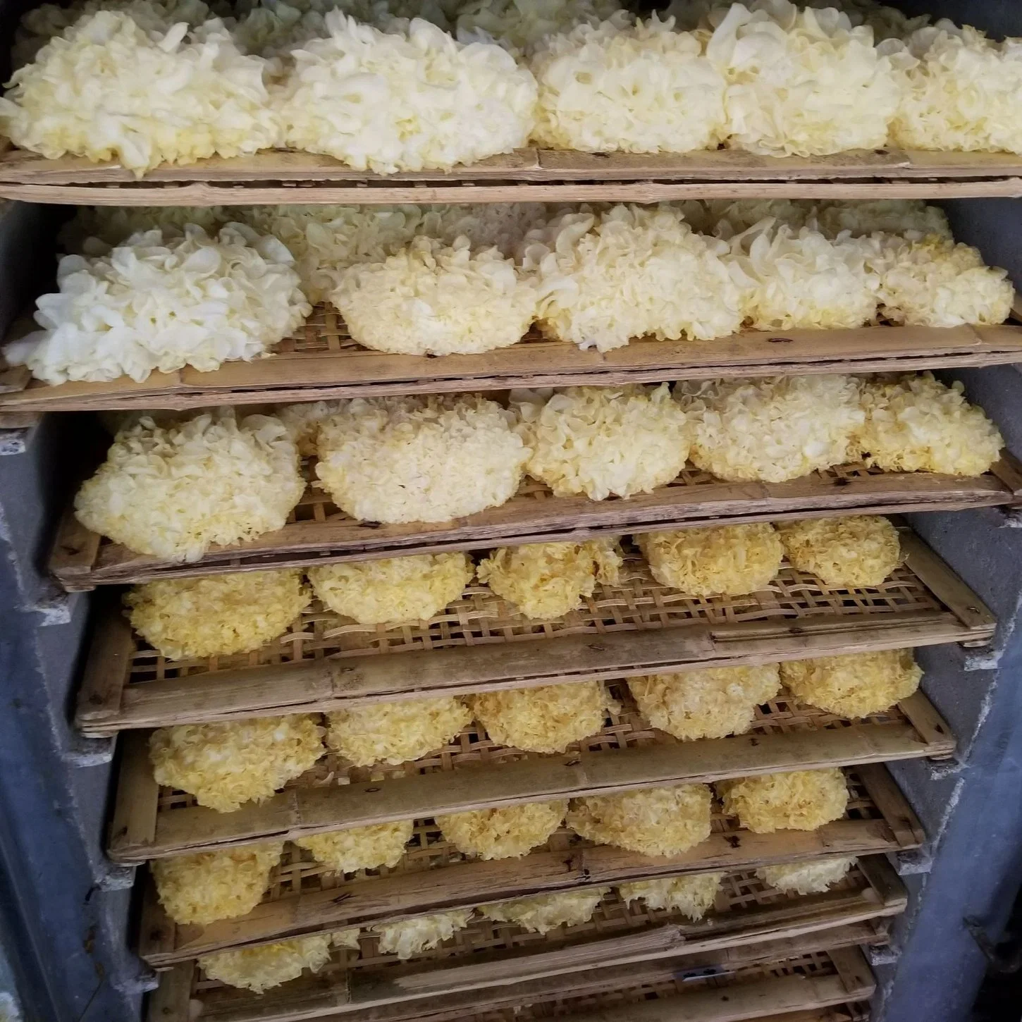 Big Whole Dried White Fungus Tremells Mushroom for Dessert