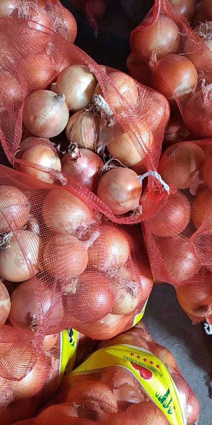 Wholesale/Supplier 5-8cm Brand Onion 10kg Bag