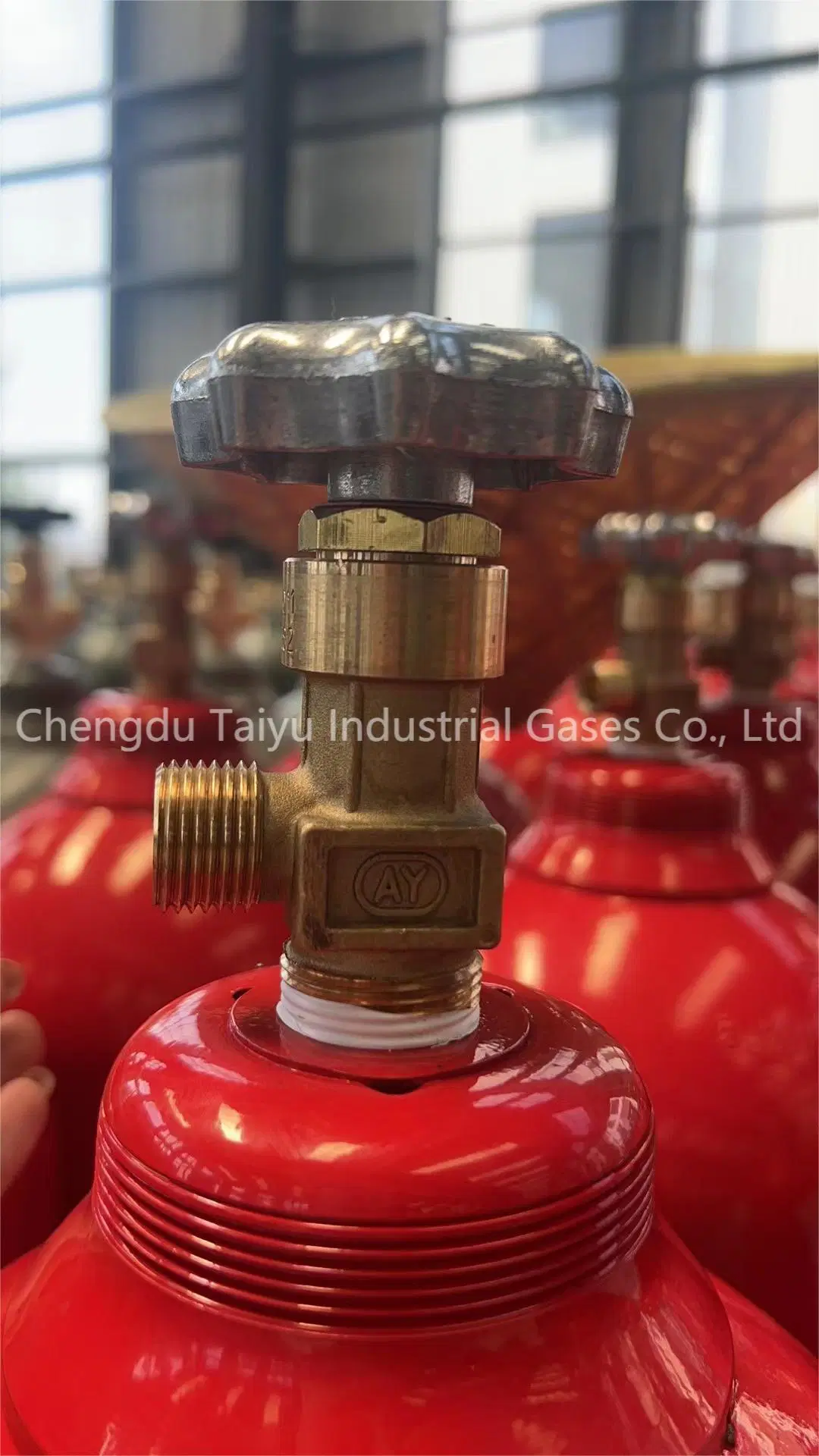 Competitive Price for Ethylene Gas 99.95% High Purity C2h4 Ripening Gas