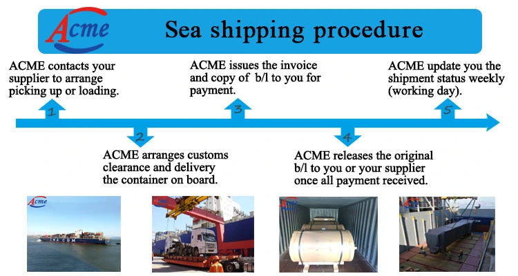 Ocean Shipping Agent China nach Australien Singapur Shipping Agent Freight Spediteur Services