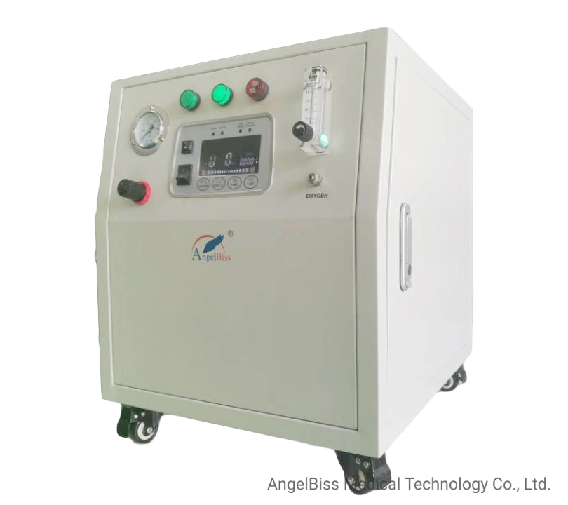 Electric Industry High Purity Psa Oxygen Generator (10LPM 0.4MPa)