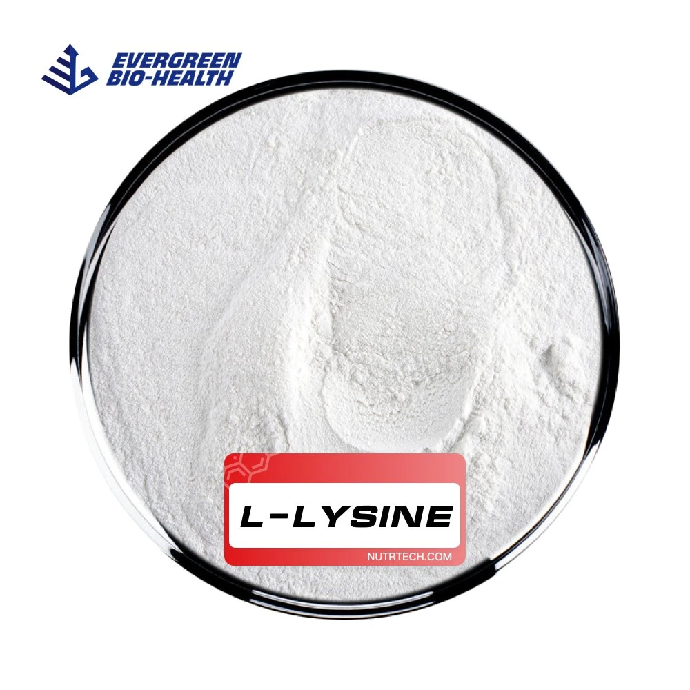 Pure Organic Raw Materials L-Lysine for Poultry Feed