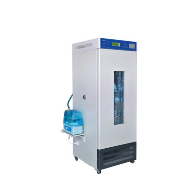 Medical Hospital Laboratory Mould Cultivation Cabinet Lab Mould Incubator